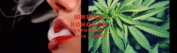 PSILOCYBIN Няндома