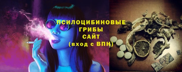 PSILOCYBIN Няндома