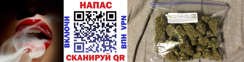 Канабис сатива  mega маркетплейс  Духовщина  сколько стоит 